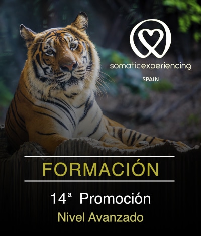 14ª Promoción - Nivel Avanzado (Presencial)