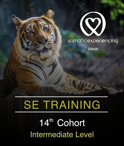 14th cohort – Intermediate Level (face-to-face)