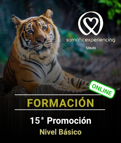 15th Cohort – Beginning Level (Online)